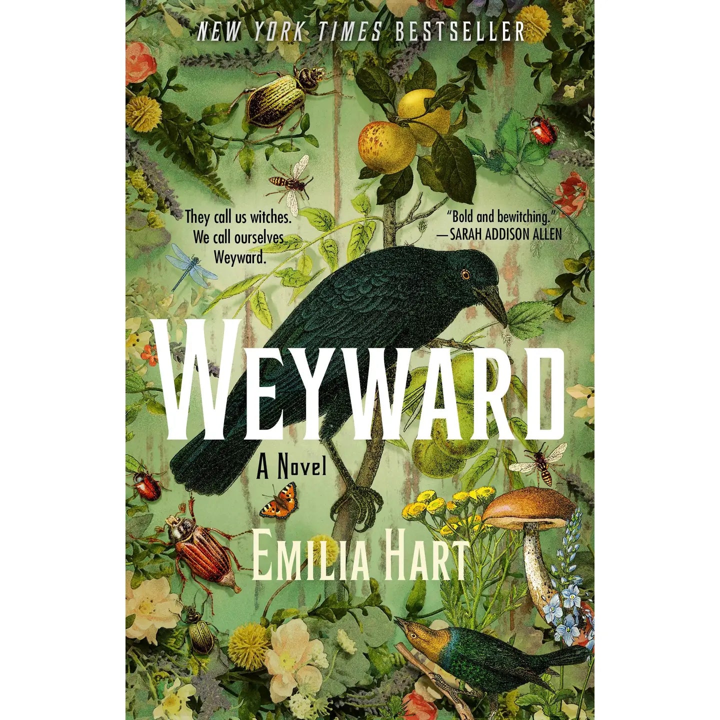 WEYWARD by Emilia Hart (New)