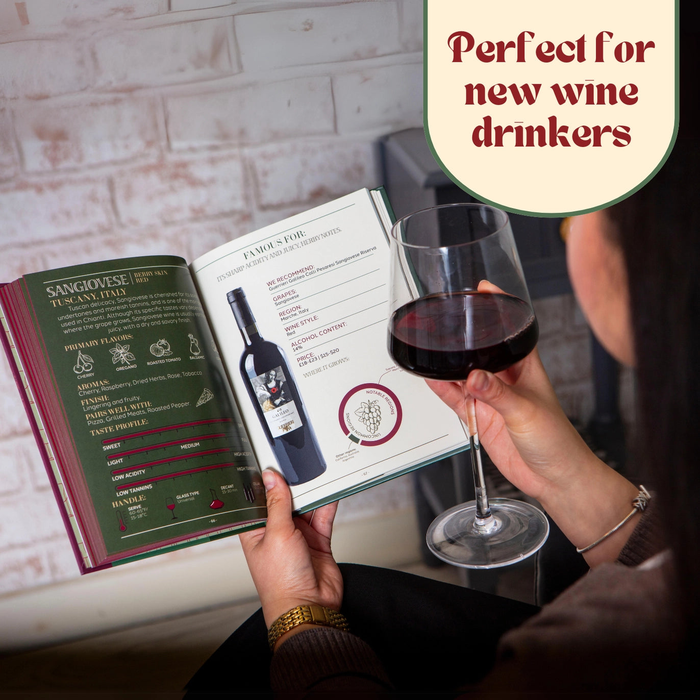 50 Wines To Try: Sipper To Sommelier Book (New)