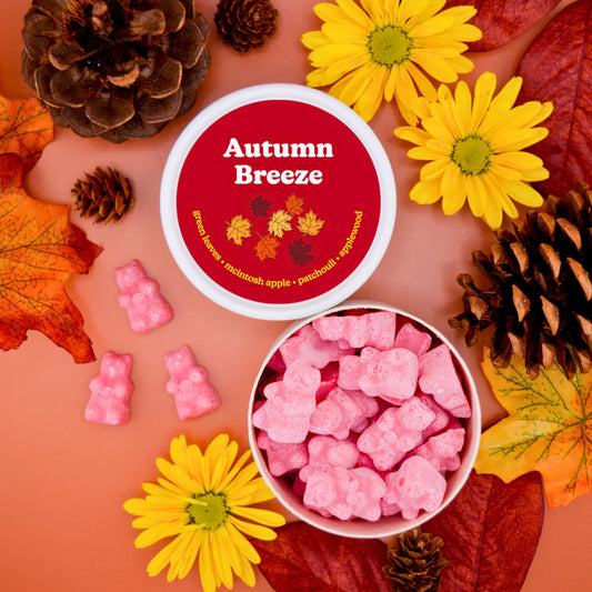 Autumn Breeze Wax Melts