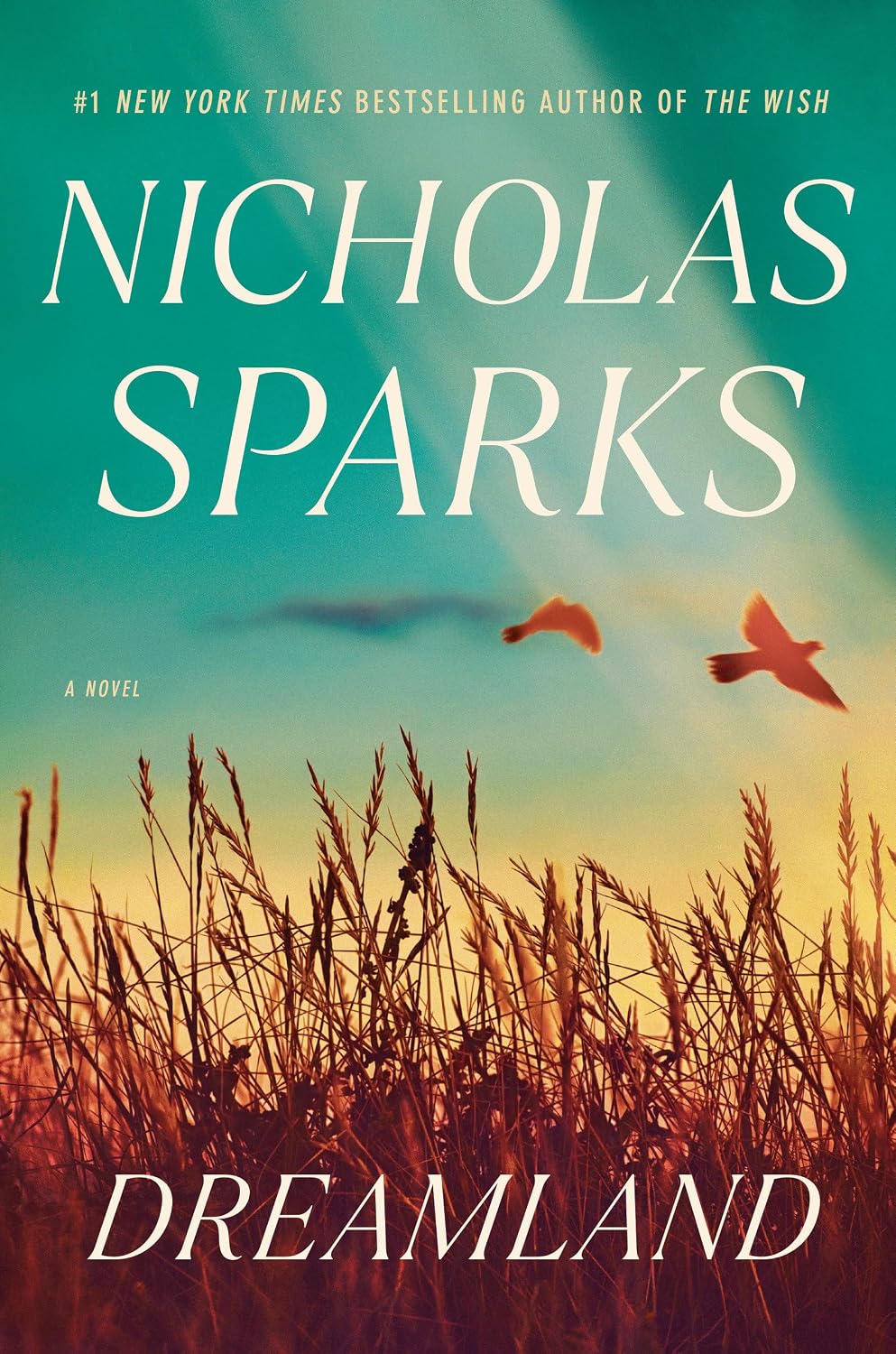 DREAMLAND by Nicholas Sparks (Hardcover-Like New)