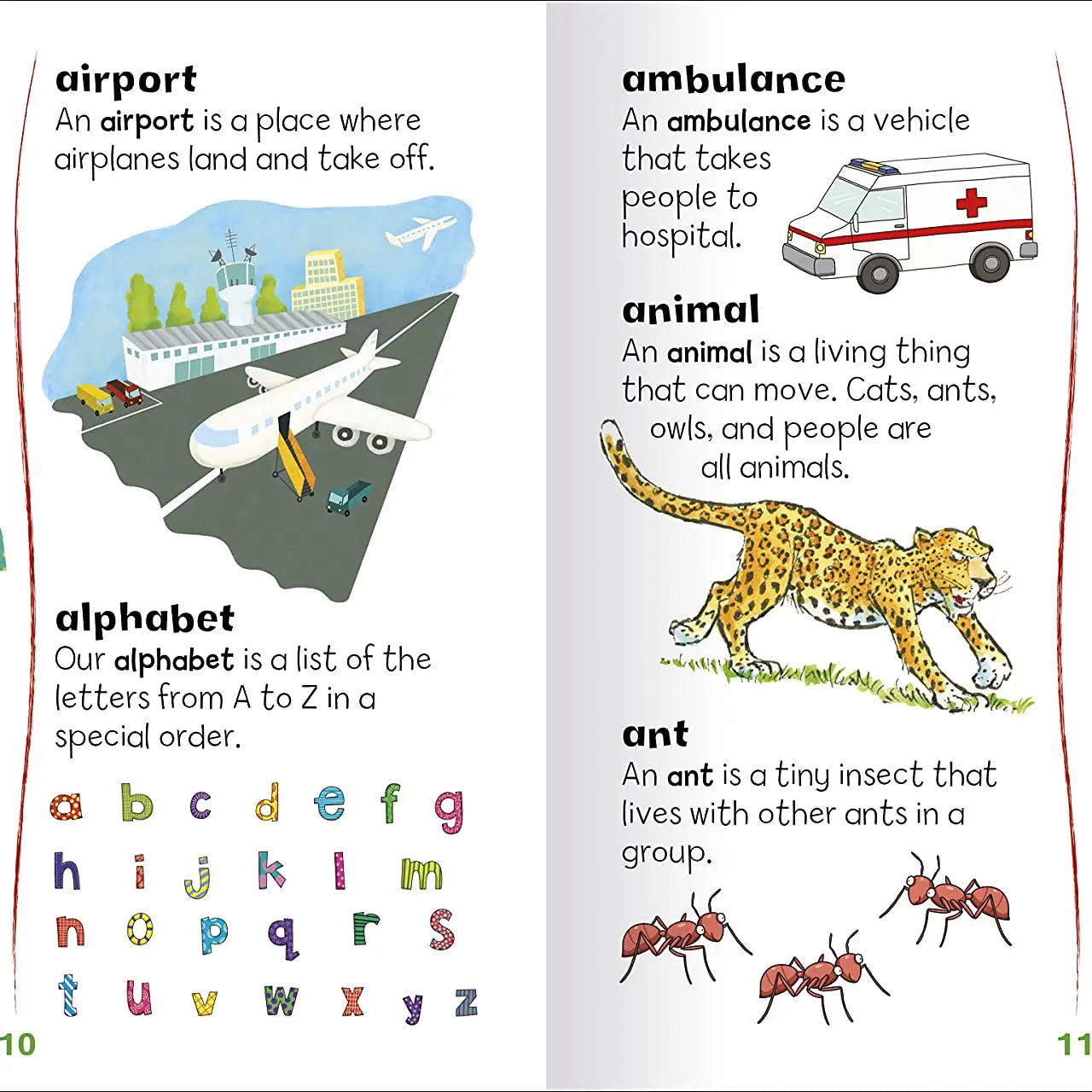 FIRST DICTIONARY by Miles Kelly (New)