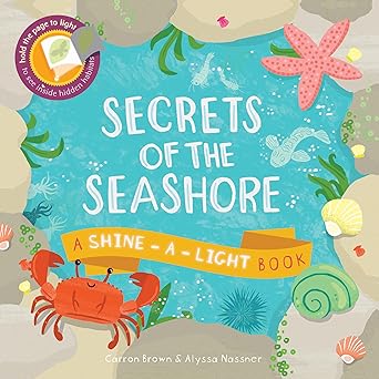 SECRETS OF THE SEASHORE (Shine-A-Light) by Carron Brown (Like New)