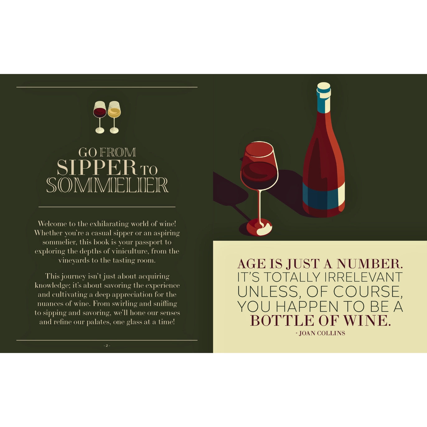 50 Wines To Try: Sipper To Sommelier Book (New)
